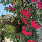 With A Parking Space Popovici, Dubrovnik - 8694 Appartement *