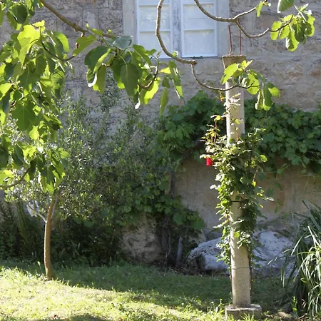 Apartament With A Parking Space Popovici, Dubrovnik - 8694