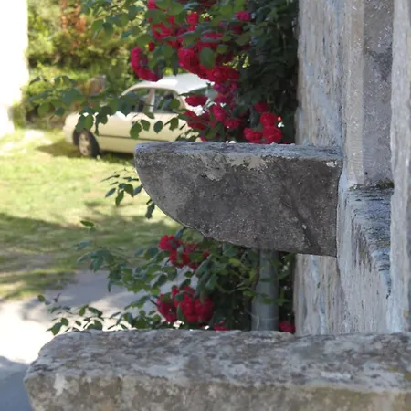 Apartment With A Parking Space Popovici, Dubrovnik - 8694 *