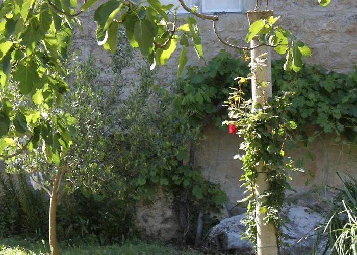 Appartement With A Parking Space Popovici, Dubrovnik - 8694