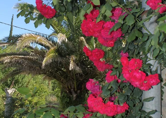 With A Parking Space Popovici, Dubrovnik - 8694 Appartement *